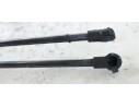 Recambio de amortiguadores maletero / porton para citroen c3 elle referencia OEM IAM 9813177780  