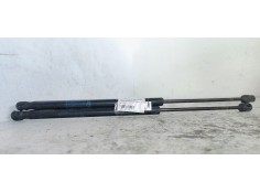 AMORTIGUADORES MALETERO / PORTON 51249801386 