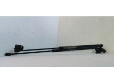 AMORTIGUADORES CAPO 811813E011 