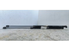 AMORTIGUADORES MALETERO / PORTON 