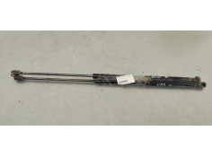 AMORTIGUADORES MALETERO / PORTON 