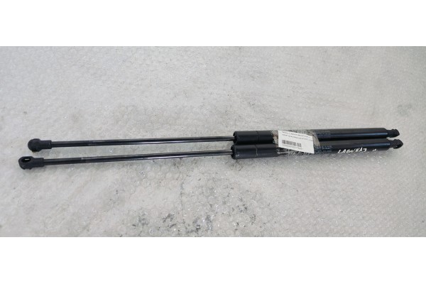 Recambio de amortiguadores maletero / porton para renault laguna grandtour iii referencia OEM IAM   
