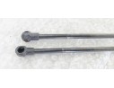 Recambio de amortiguadores maletero / porton para renault laguna grandtour iii referencia OEM IAM   