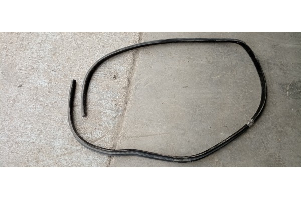 Recambio de gomas contorno puerta para jaguar f-pace 2.0 diesel cat referencia OEM IAM   