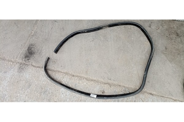 Recambio de gomas contorno puerta para jaguar f-pace 2.0 diesel cat referencia OEM IAM   