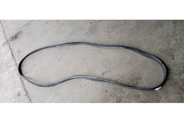 Recambio de gomas contorno puerta para jaguar f-pace 2.0 diesel cat referencia OEM IAM   