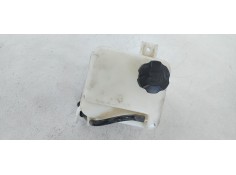 DEPOSITO EXPANSION 254302S000 