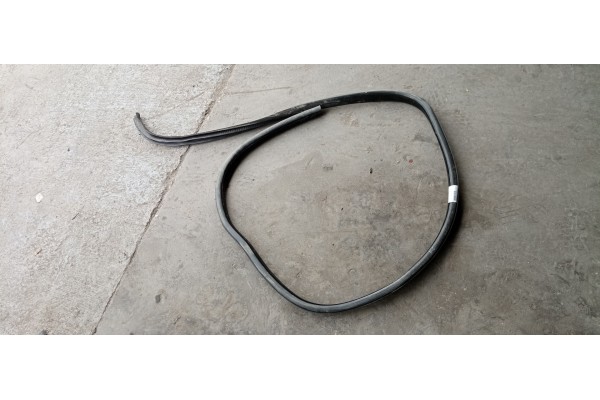 Recambio de gomas contorno puerta para jaguar f-pace 2.0 diesel cat referencia OEM IAM   