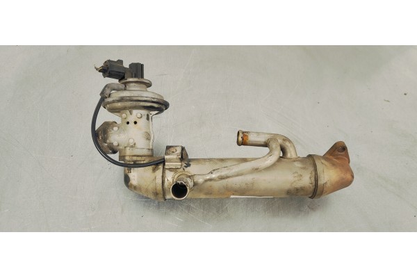 Recambio de enfriador egr para ford mondeo berlina (ge) ambiente referencia OEM IAM 1C1Q9F464AD  