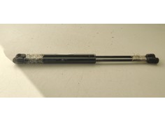 AMORTIGUADORES MALETERO / PORTON 