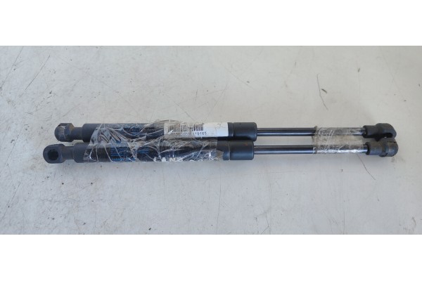 Recambio de amortiguadores capo para land rover range rover (lm) td6 vogue referencia OEM IAM XH4216E610AA  