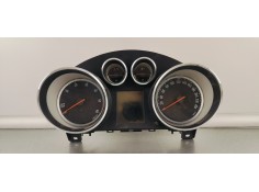 CUADRO INSTRUMENTOS 13460582 