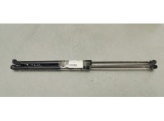 AMORTIGUADORES MALETERO / PORTON 