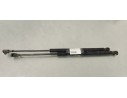 Recambio de amortiguadores maletero / porton para renault scenic ii emotion referencia OEM IAM 8200616559  