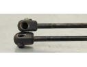 Recambio de amortiguadores maletero / porton para hyundai getz (tb) 1.1 básico referencia OEM IAM 817701C001  