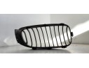 Recambio de rejilla delantera para bmw serie 3 gran turismo (f34) 2.0 turbodiesel referencia OEM IAM   