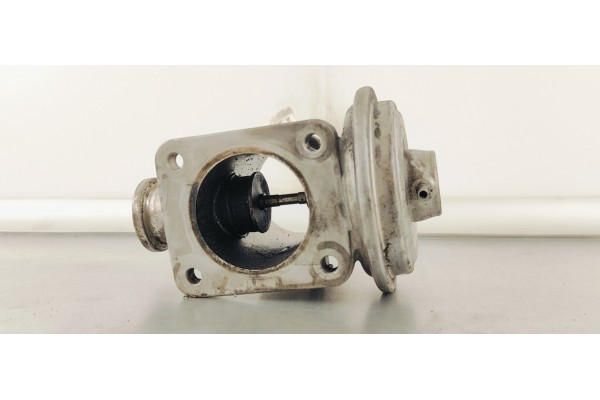 Recambio de valvula egr para bmw serie 3 berlina (e46) 320d referencia OEM IAM 72252300  