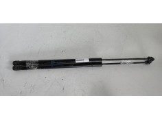 AMORTIGUADORES MALETERO / PORTON 13258179 