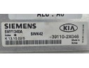 Recambio de centralita motor uce para kia rio 1.3 cat referencia OEM IAM 391102X046  