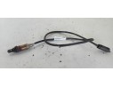 Recambio de sonda lambda para bmw serie 5 berlina (e39) 2.8 24v cat referencia OEM IAM 0258005109  