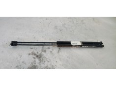 AMORTIGUADORES MALETERO / PORTON 