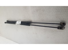 AMORTIGUADORES MALETERO / PORTON 13258179 