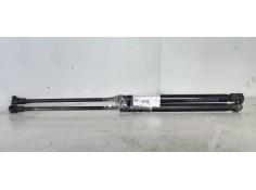 AMORTIGUADORES MALETERO / PORTON 