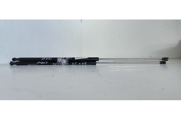 Recambio de amortiguadores capo para bmw serie 7 (e65/e66) 745i referencia OEM IAM   