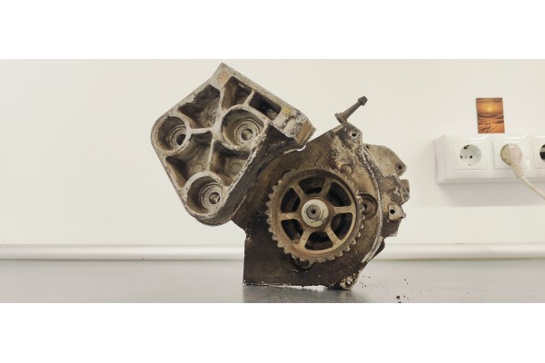 Recambio de bomba inyeccion para renault scenic ii emotion referencia OEM IAM 0445010075  