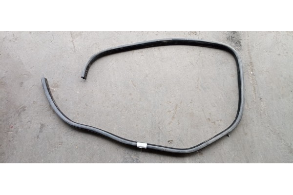 Recambio de gomas contorno puerta para jaguar f-pace 2.0 diesel cat referencia OEM IAM   