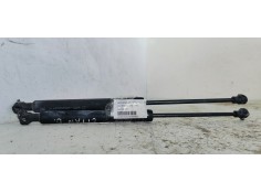 AMORTIGUADORES CAPO 654706489R 