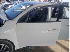 PUERTA DELANTERA IZQUIERDA 