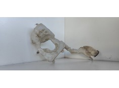 Recambio de deposito limpia para mini mini (r56) 1.6 16v diesel cat referencia OEM IAM 16081600  