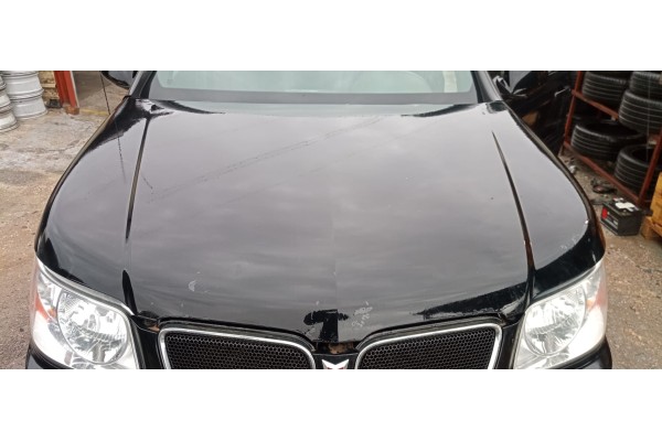 Recambio de capo para pontiac torrent m1 referencia OEM IAM   