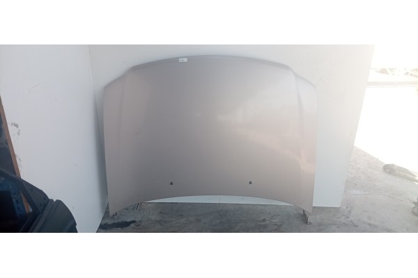 Recambio de capo para ford expedition referencia OEM IAM   