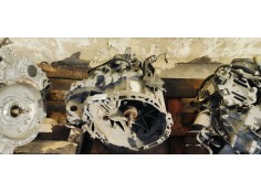 Recambio de caja cambios para renault scenic iii 1.9 dci 130 referencia OEM IAM ND4002  