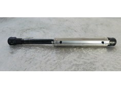 Recambio de amortiguadores maletero / porton para volkswagen eos (1f7) 1.4 referencia OEM IAM 2062030B  