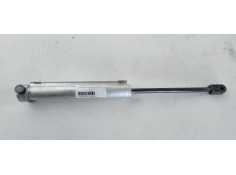 AMORTIGUADORES MALETERO / PORTON 