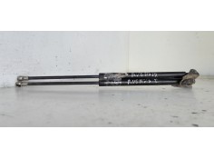 AMORTIGUADORES MALETERO / PORTON 