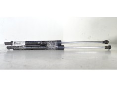 AMORTIGUADORES MALETERO / PORTON 8200299546 