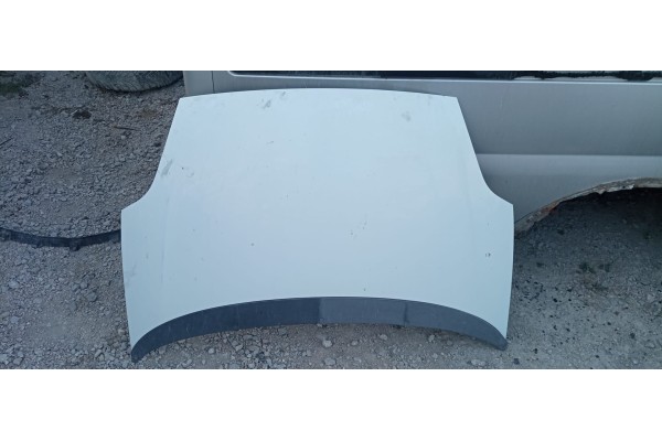 Recambio de capo para fiat punto (199) 1.3 16v m-jet cat referencia OEM IAM   