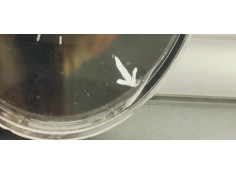 Recambio de cuadro instrumentos para seat ibiza (6j5) 1.2 i 60 referencia OEM IAM 6J0920802  