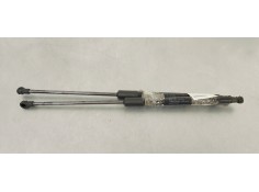 AMORTIGUADORES MALETERO / PORTON 9813177780 