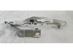 BISAGRA CAPO IZQUIERDA 30779282 