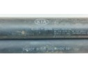 Recambio de amortiguadores capo para kia sorento 2.5 crdi ex referencia OEM IAM 811813E000  