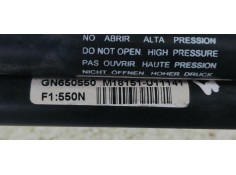 Recambio de amortiguadores maletero / porton para renault scenic iii 1.6dci 130 fap referencia OEM IAM   