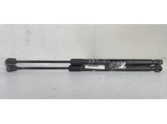 AMORTIGUADORES MALETERO / PORTON 