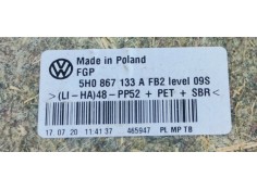 Recambio de guarnecido puerta delantera izquierda para volkswagen golf viii lim. (cd1) life referencia OEM IAM   
