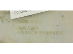 Recambio de deposito expansion para hyundai santa fe (bm) 2.2 crdi style 4x4 referencia OEM IAM 254302B100  