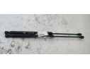 Recambio de amortiguadores maletero / porton para renault clio iv 1.2 referencia OEM IAM 844308661R  
